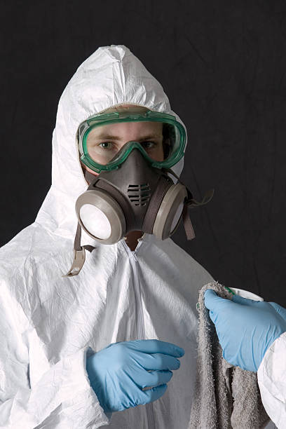 Reliable Fruitville, FL Mold Removal Solutions